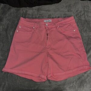 Judy Blue Shorts